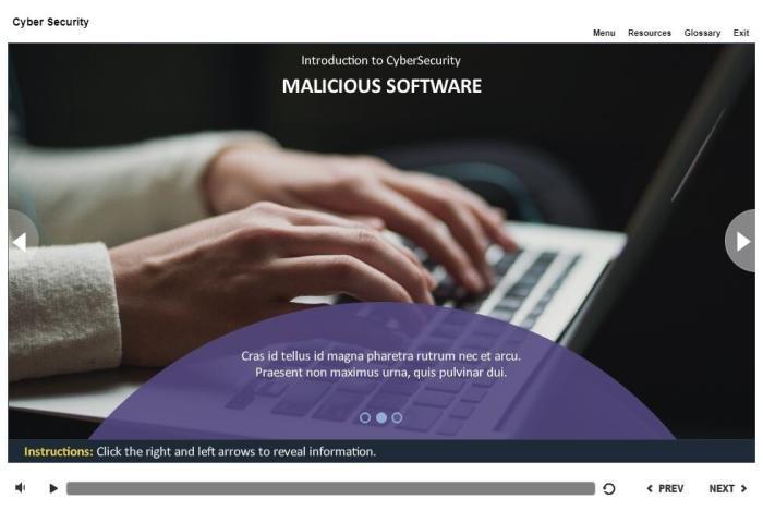 Cyber Security Course Starter Template — Articulate Storyline-53736