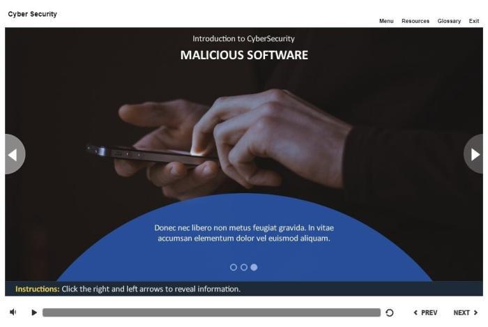 Cyber Security Course Starter Template — Articulate Storyline-53739