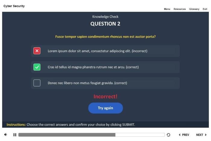 Cyber Security Course Starter Template — Articulate Storyline-53804