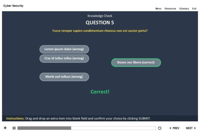 Cyber Security Course Starter Template — Articulate Storyline-53818
