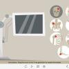 X-Ray Icons — Storyline Template-53928