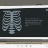 X-Ray Icons — Storyline Template-53932