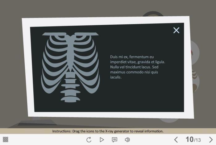 X-Ray Icons — Storyline Template-53932