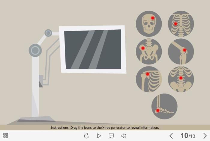 X-Ray Icons — Storyline Template-53931