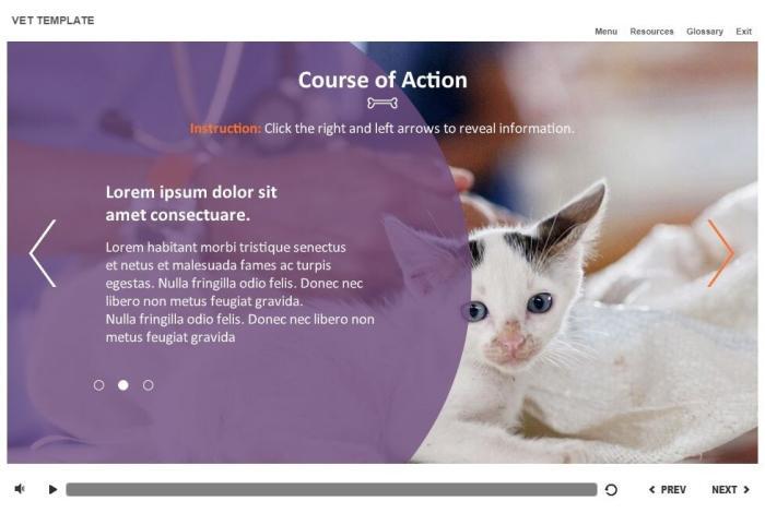 Zoology / Veterinary Course Starter Template — Articulate Storyline-54571