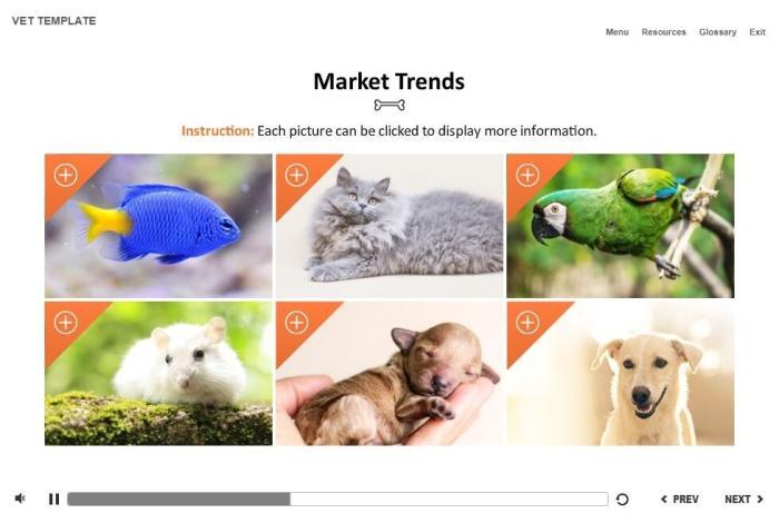 Zoology / Veterinary Course Starter Template — Articulate Storyline-54575