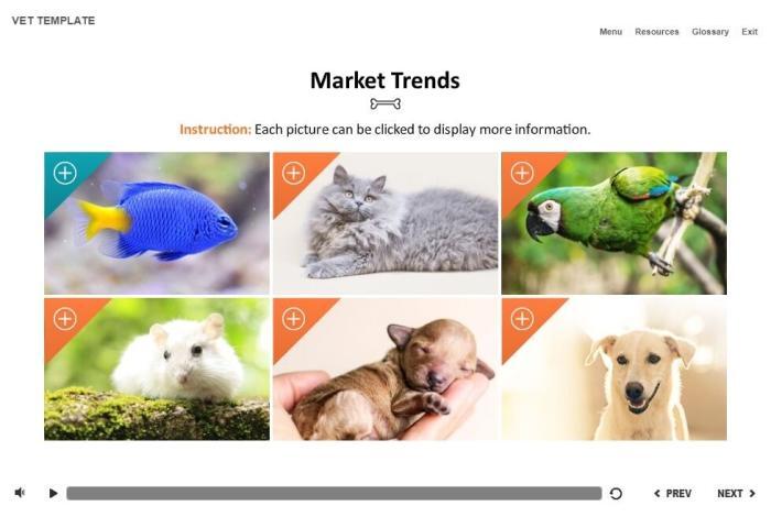 Zoology / Veterinary Course Starter Template — Articulate Storyline-54574