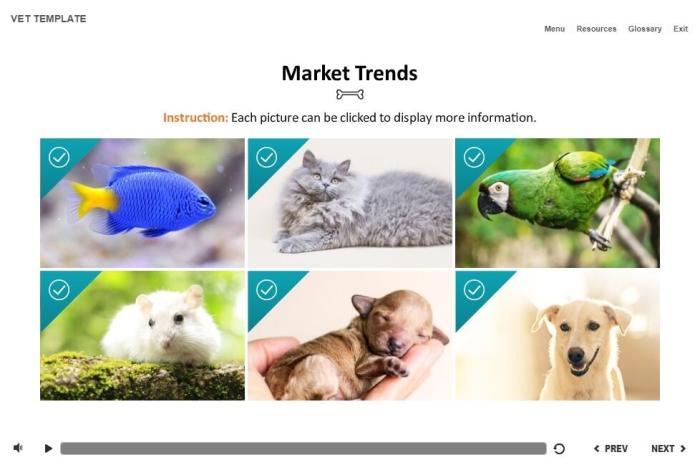 Zoology / Veterinary Course Starter Template — Articulate Storyline-54579