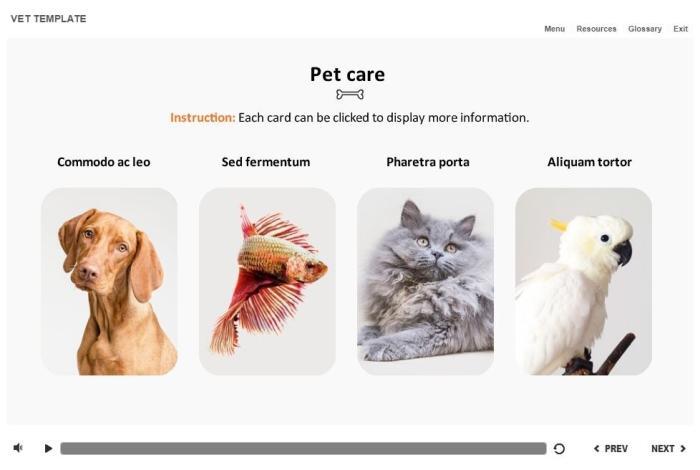 Zoology / Veterinary Course Starter Template — Articulate Storyline-54588