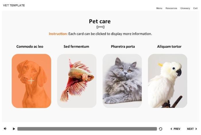 Zoology / Veterinary Course Starter Template — Articulate Storyline-54589