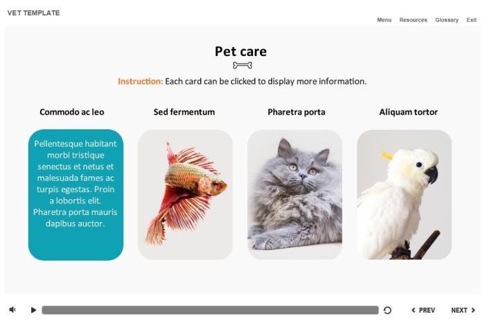 Zoology / Veterinary Course Starter Template — Articulate Storyline-54590