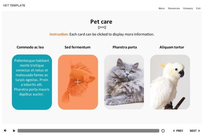 Zoology / Veterinary Course Starter Template — Articulate Storyline-54592