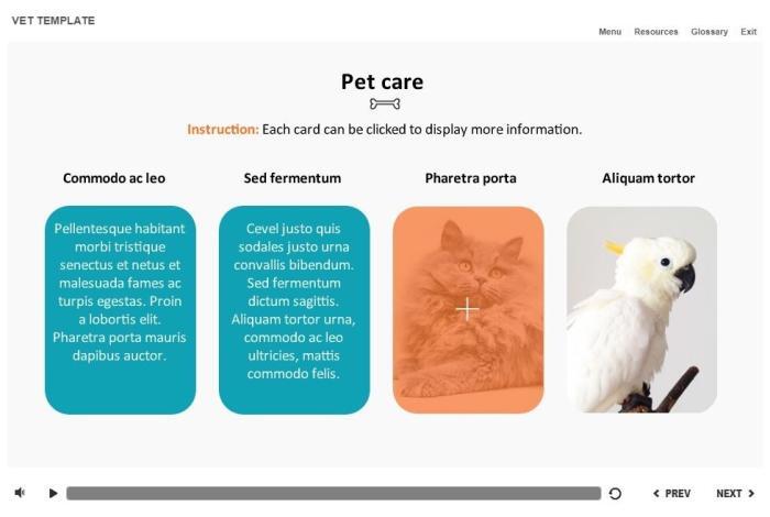 Zoology / Veterinary Course Starter Template — Articulate Storyline-54591