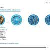 Clickable Circles — Storyline Template-55039