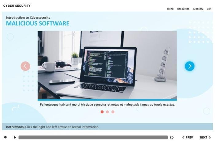Cybersecurity Course Starter Template — Articulate Storyline-55294