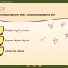 Adventure Quiz — Captivate Template-55464