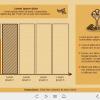 Interactive Column Chart — Captivate Template-55540