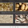 Recipe Cards — Storyline Template-0