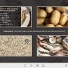Recipe Cards — Storyline Template-55694