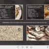 Recipe Cards — Storyline Template-55695