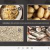 Recipe Cards — Lectora Template-55716