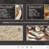 Recipe Cards — Lectora Template-55719