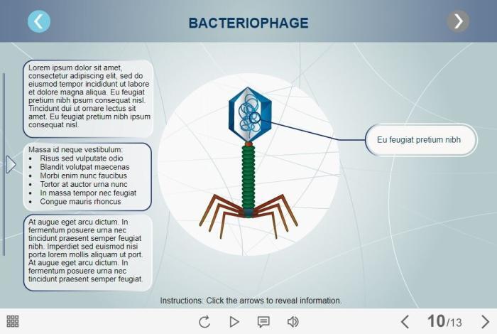 Virus Slideshow — Lectora Template-55726