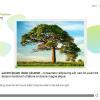 Before and After Slider — Storyline 3 Template-0