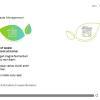 Two Clickable Leaves — Storyline 3 Template-56034
