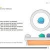Draggable Resources — Storyline 3 Template-56088