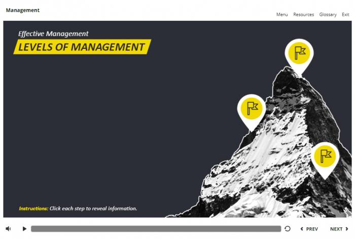 Management and Finances Course Starter Template — Articulate Storyline 3 / 360-57974