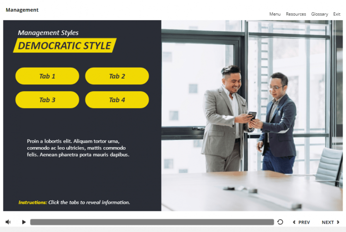 Management and Finances Course Starter Template — Articulate Storyline 3 / 360-58033