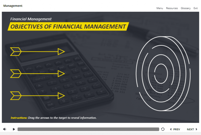 Management and Finances Course Starter Template — Articulate Storyline 3 / 360-58036