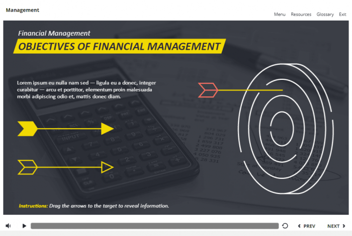 Management and Finances Course Starter Template — Articulate Storyline 3 / 360-58037