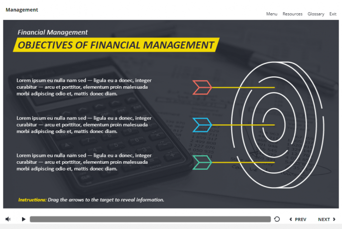 Management and Finances Course Starter Template — Articulate Storyline 3 / 360-58038