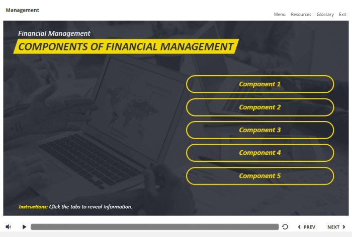 Management and Finances Course Starter Template — Articulate Storyline 3 / 360-58039
