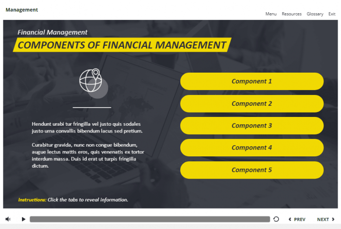 Management and Finances Course Starter Template — Articulate Storyline 3 / 360-58040
