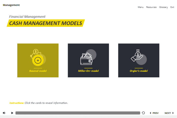 Management and Finances Course Starter Template — Articulate Storyline 3 / 360-58051