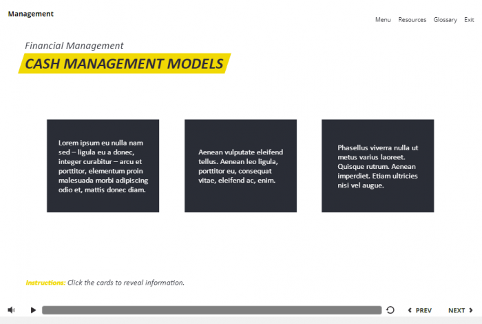 Management and Finances Course Starter Template — Articulate Storyline 3 / 360-58052