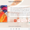 Tabs with Medical Icons — Storyline 3 / 360 Template-61186