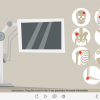 X-Ray Icons — Captivate Template-0