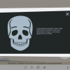 X-Ray Icons — Captivate Template-61659