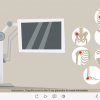 X-Ray Icons — Captivate Template-61660