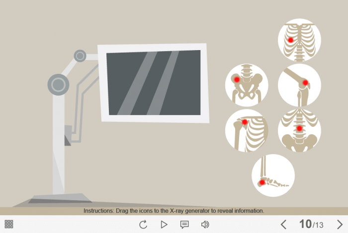 X-Ray Icons — Captivate Template-61660