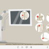 X-Ray Icons — Captivate Template-61661