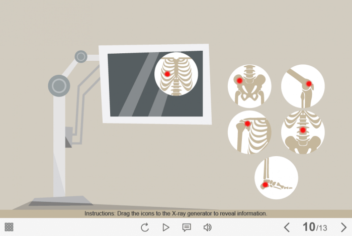 X-Ray Icons — Captivate Template-61661