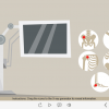 X-Ray Icons — Captivate Template-61663