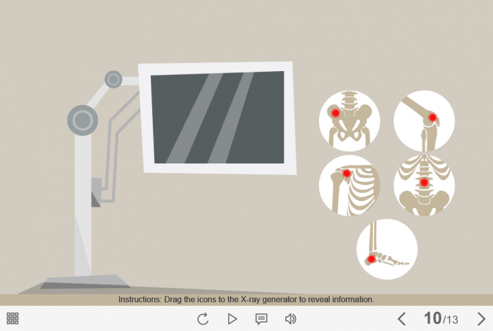 X-Ray Icons — Captivate Template-61663