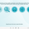 Types of Doctors — Captivate Template-61687