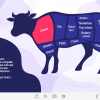 Cut of Beef — Storyline 3 / 360 Template-60127